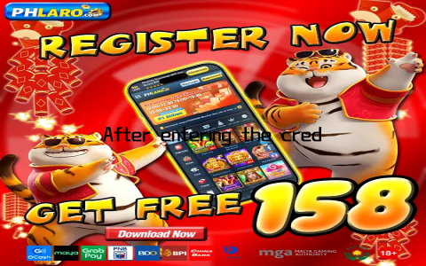 After entering the credentials, users can click the login button to access their accounts